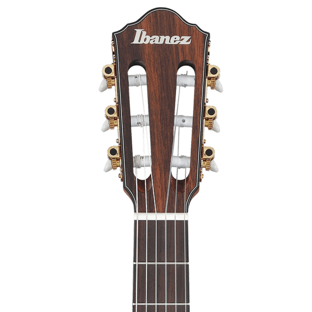 Ibanez FRH10N-BSF Elektro Klasik Gitar Fiyatı, Özellikleri | ZUHAL